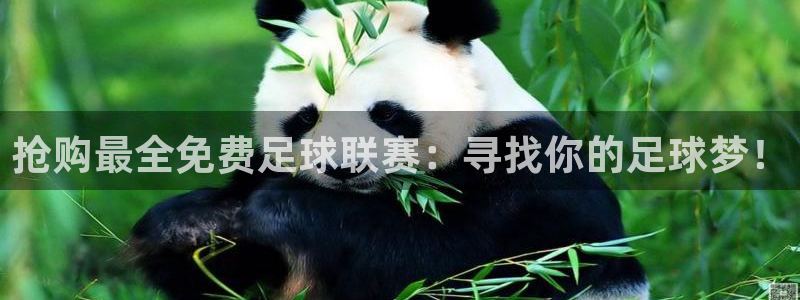 抢购最全免费足球联赛：寻找你的足球梦！